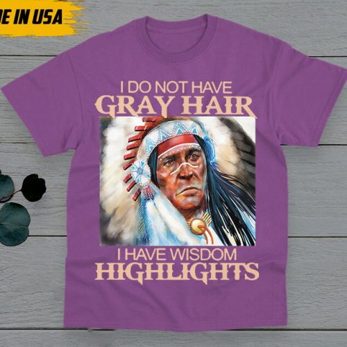 Native American T-Shirt, Native American Gift, Native American Pride Indigenous Shirt, I Do Not Have Gray Hair, I Have Wisdom Highlights