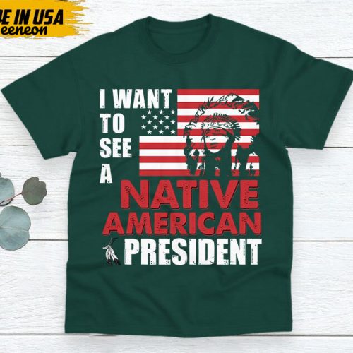 Native American Unisex T-Shirt, Native American Gift, Native American Pride Indigenous Shirt, Indian Shirt, I Want To See A Native American