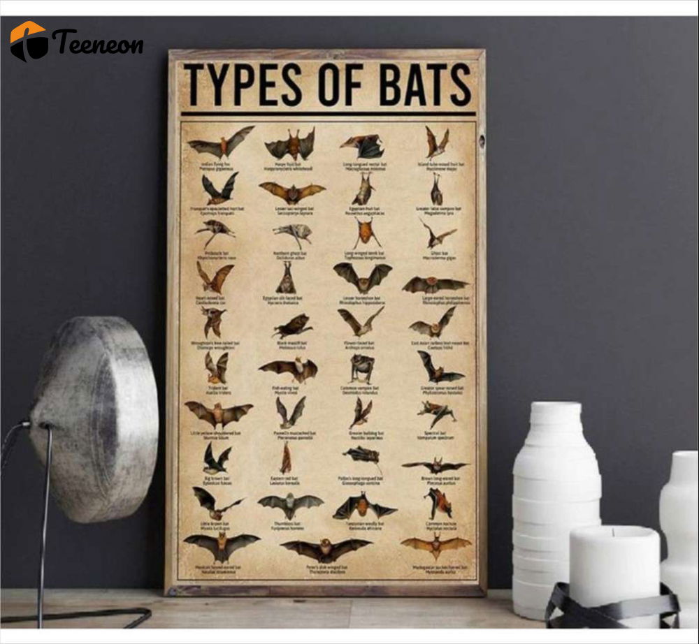 Types Of Bats Poster for Home Decor Gift for Home Decor Gift Types Of Bats Poster for Home Decor Gift for Home Decor Gift