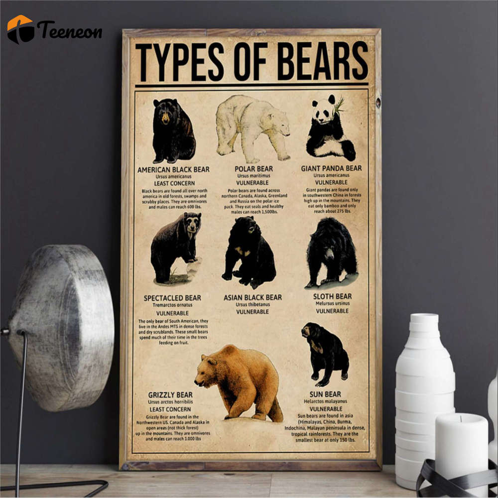 Types Of Bears Animal Poster for Home Decor Gift for Home Decor Gift Types Of Bears Animal Poster for Home Decor Gift for Home Decor Gift
