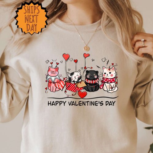 Valentine Cat Sweatshirt, Cute Cat Lover Hoodie, Valentine Gift Sweater, Valentines Day Gift for Her, Happy Valentine Day Gift, Love Gift